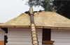 Kodi mara of Surathkal temple crashes on roof